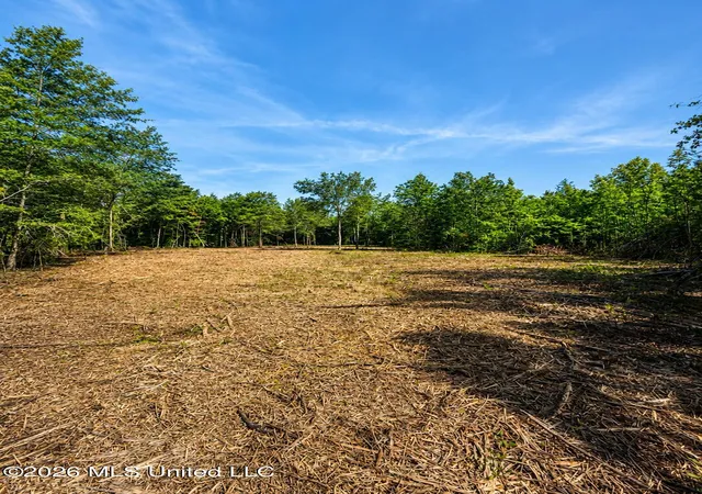 Photo 4 of Land for sale at County Rd 550, Minter City, MS 38944 | MLS# 4157595 | Listing updated on 2026-07-30