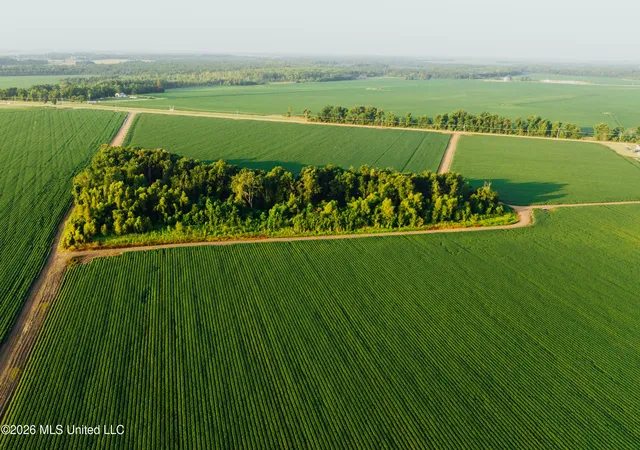 Photo 3 of Land for sale at Sumner Tutwiler, Tutwiler, MS 38963 | MLS# 4157717 | Listing updated on 2026-07-31