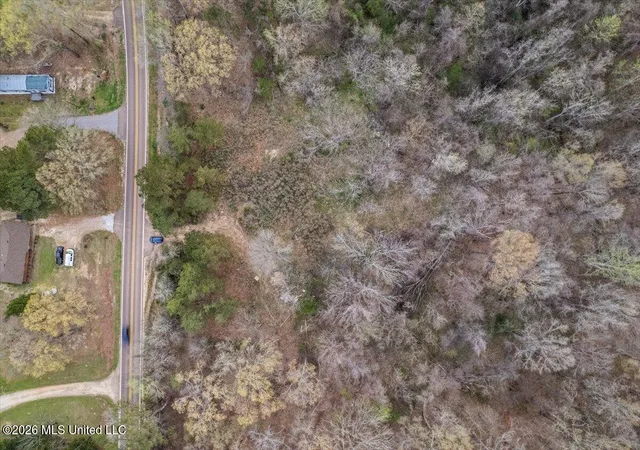 11th image of Hwy 433, Bentonia, MS 39040 | MLS# 4157556