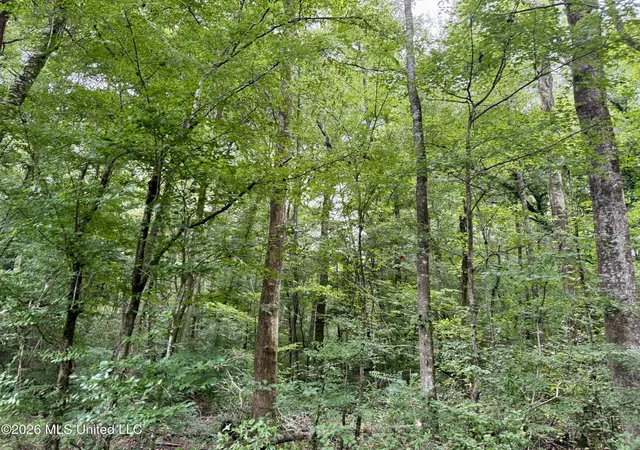 Photo 1 of Land for sale at 2194 Mississippi 570, Summit, MS 39666 | MLS# 4157598 | Listing updated on 2026-07-30