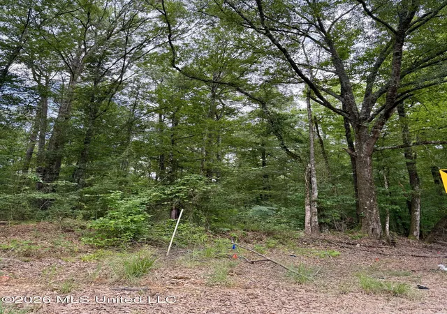 Photo 2 of Land for sale at 2194 Mississippi 570, Summit, MS 39666 | MLS# 4157598 | Listing updated on 2026-07-30