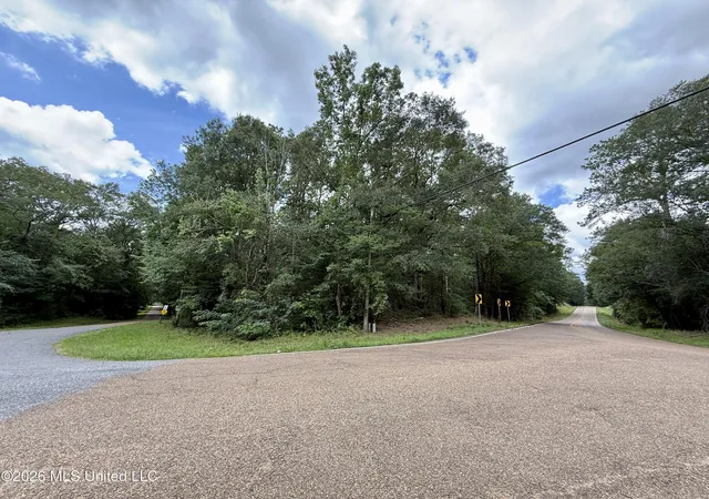 Photo 3 of Land for sale at 2194 Mississippi 570, Summit, MS 39666 | MLS# 4157598 | Listing updated on 2026-07-30