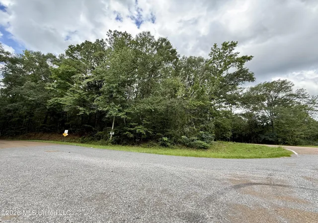 Photo 3 of Land for sale at 2194 Mississippi 570, Summit, MS 39666 | MLS# 4157598 | Listing updated on 2026-07-30
