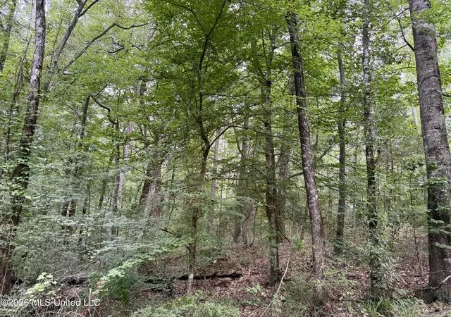 Photo 4 of Land for sale at 2194 Mississippi 570, Summit, MS 39666 | MLS# 4157598 | Listing updated on 2026-07-30