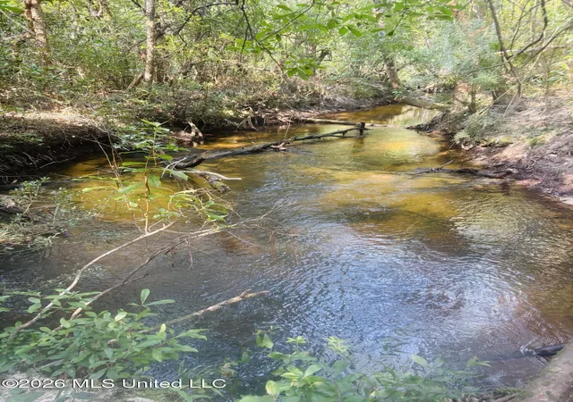 1st image of E Beasley Road, Lucedale, MS 39452 | MLS# 4157622