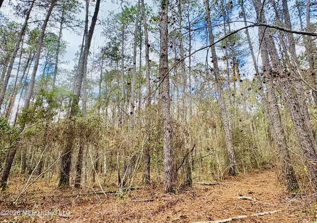23rd image of E Beasley Road, Lucedale, MS 39452 | MLS# 4157622