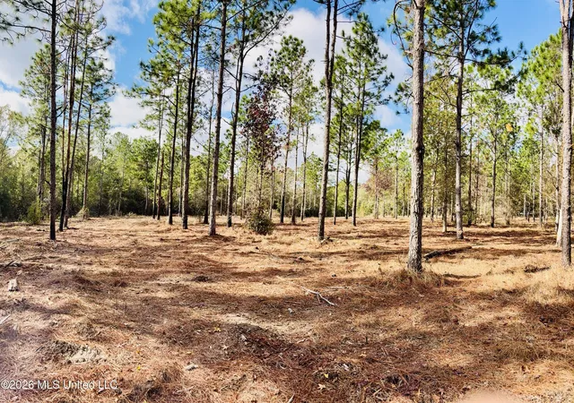 2nd image of E Beasley Road, Lucedale, MS 39452 | MLS# 4157622