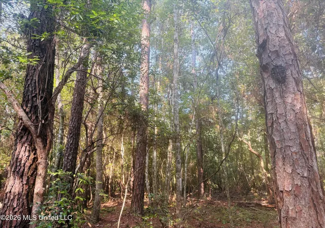 Photo 3 of Land for sale at E Beasley Rd, Lucedale, MS 39452 | MLS# 4157622 | Listing updated on 2026-09-17
