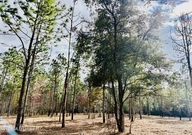 Photo 4 of Land for sale at E Beasley Rd, Lucedale, MS 39452 | MLS# 4157622 | Listing updated on 2026-09-17