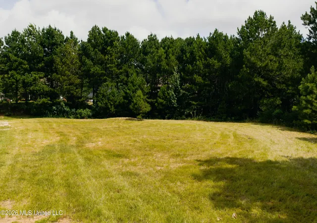 Photo 4 of Land for sale at Allgood Rd, Meridian, MS 39301 | MLS# 4157654 | Listing updated on 2026-07-31