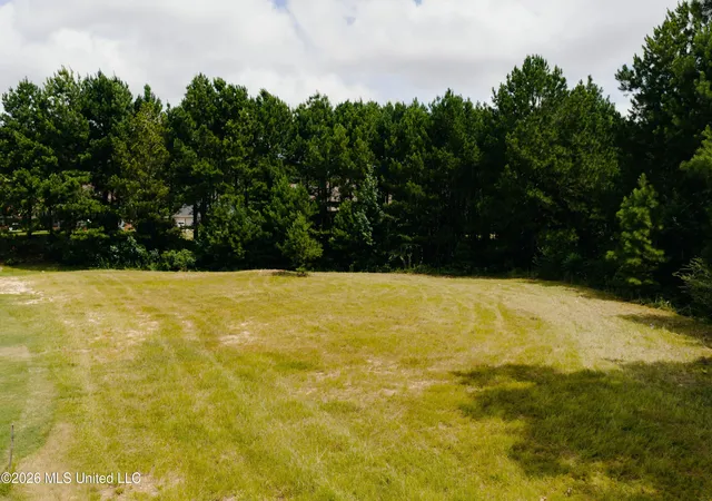 Photo 6 of Land for sale at Allgood Rd, Meridian, MS 39301 | MLS# 4157654 | Listing updated on 2026-07-31