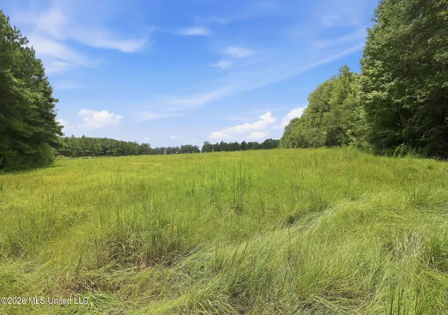 Photo 22 of Sale Pending at 20471 La 10, Kentwood, LA 70444 | MLS# 4157663 | Listing updated on 2026-08-19