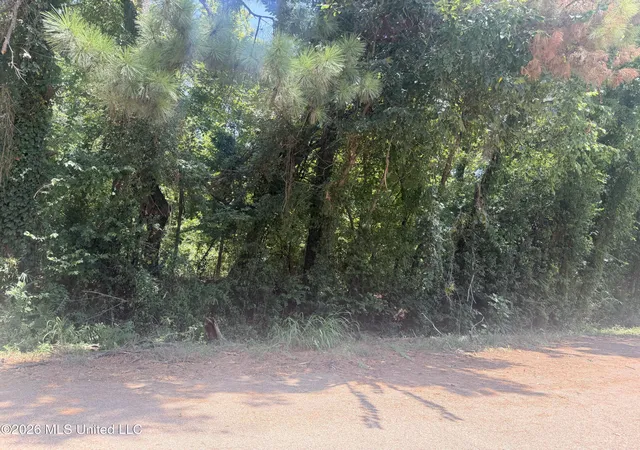 Photo 1 of Land for sale at 0 Woodhaven, Natchez, MS 39120 | MLS# 4157708 | Listing updated on 2026-07-31