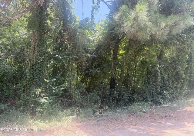 Photo 2 of Land for sale at 0 Woodhaven, Natchez, MS 39120 | MLS# 4157708 | Listing updated on 2026-07-31