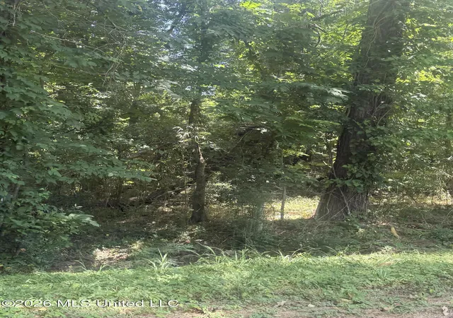 Photo 3 of Land for sale at 0 Woodhaven, Natchez, MS 39120 | MLS# 4157708 | Listing updated on 2026-07-31