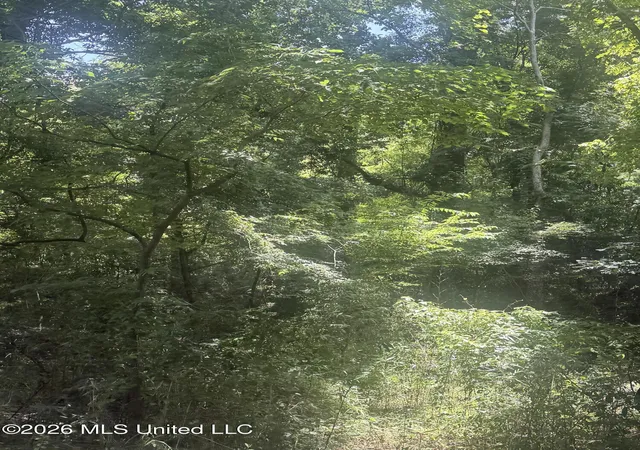 Photo 3 of Land for sale at 0 Woodhaven, Natchez, MS 39120 | MLS# 4157708 | Listing updated on 2026-07-31