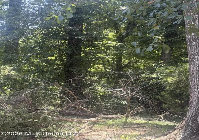 Photo 4 of Land for sale at 0 Woodhaven, Natchez, MS 39120 | MLS# 4157708 | Listing updated on 2026-07-31