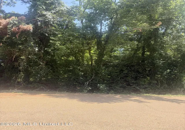 Photo 6 of Land for sale at 0 Woodhaven, Natchez, MS 39120 | MLS# 4157708 | Listing updated on 2026-07-31