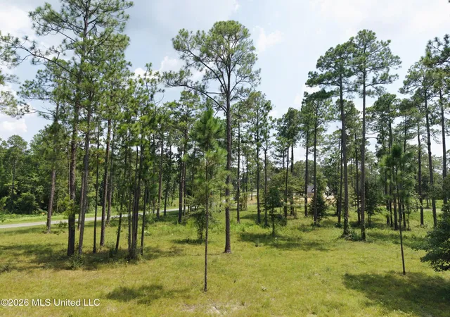 Photo 3 of Land for sale at Cowart Holiday Rd, Poplarville, MS 39470 | MLS# 4157724 | Listing updated on 2026-07-31