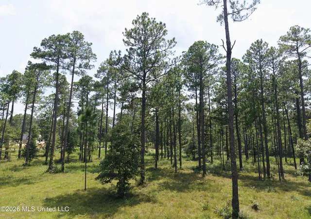 Photo 4 of Land for sale at Cowart Holiday Rd, Poplarville, MS 39470 | MLS# 4157724 | Listing updated on 2026-07-31