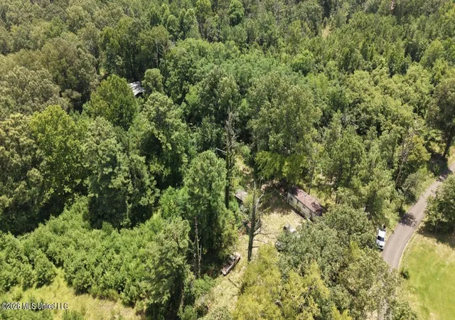 Land for sale at 258 Pine Tree Ln, Ridgeland, MS 39157 | MLS# 4158039
