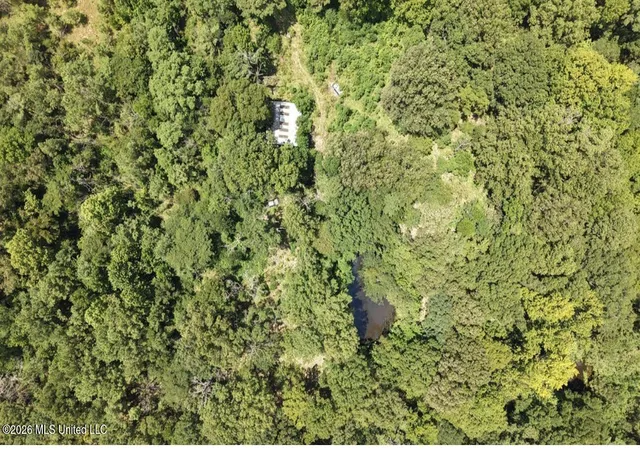 Photo 3 of Land for sale at 258 Pine Tree Ln, Ridgeland, MS 39157 | MLS# 4158039 | Listing updated on 2026-08-04