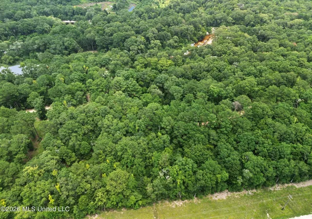 13th image of Shep Batson Rd, Wiggins, MS 39577 | MLS# 4157770