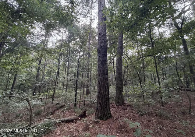 Photo 1 of Land for sale at Shiloh Rd, Pelahatchie, MS 39145 | MLS# 4157815 | Listing updated on 2026-08-01