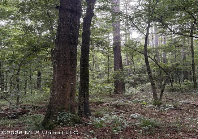 Photo 2 of Land for sale at Shiloh Rd, Pelahatchie, MS 39145 | MLS# 4157815 | Listing updated on 2026-08-01