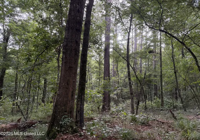 Photo 3 of Land for sale at Shiloh Rd, Pelahatchie, MS 39145 | MLS# 4157815 | Listing updated on 2026-08-01