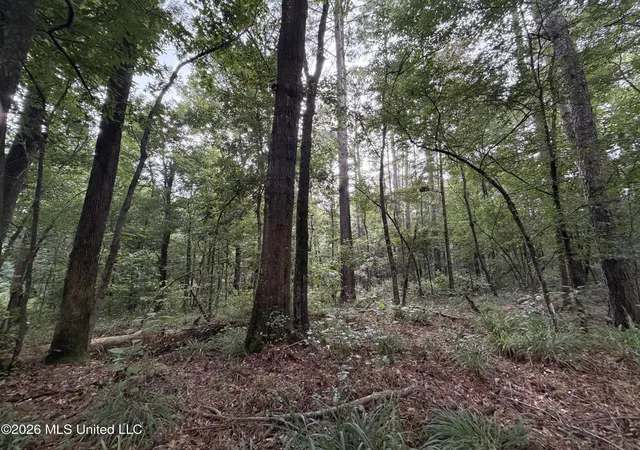Photo 3 of Land for sale at Shiloh Rd, Pelahatchie, MS 39145 | MLS# 4157815 | Listing updated on 2026-08-01