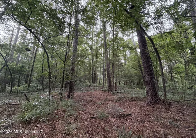 Photo 4 of Land for sale at Shiloh Rd, Pelahatchie, MS 39145 | MLS# 4157815 | Listing updated on 2026-08-01