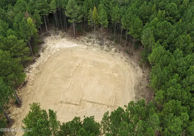Photo 2 of Land for sale at 681 Lone Pine Church Rd, Lena, MS 39094 | MLS# 4157892 | Listing updated on 2026-09-04