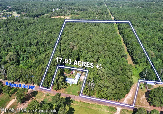 Photo 1 of Land for sale at 2435 Brignall Rd, Brookhaven, MS 39601 | MLS# 4157899 | Listing updated on 2026-08-03