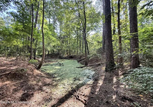 Photo 2 of Land for sale at 2435 Brignall Rd, Brookhaven, MS 39601 | MLS# 4157899 | Listing updated on 2026-08-03