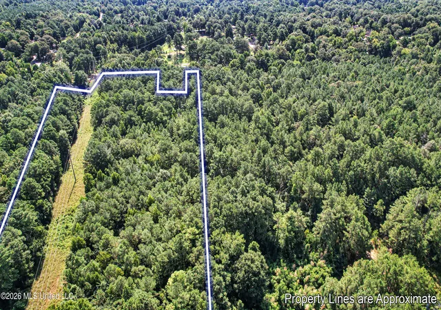 Photo 3 of Land for sale at 2435 Brignall Rd, Brookhaven, MS 39601 | MLS# 4157899 | Listing updated on 2026-08-03