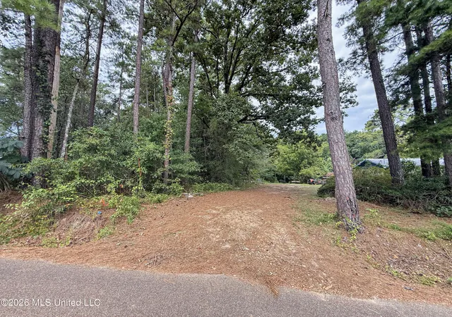Photo 3 of Land for sale at 2435 Brignall Rd, Brookhaven, MS 39601 | MLS# 4157899 | Listing updated on 2026-08-03
