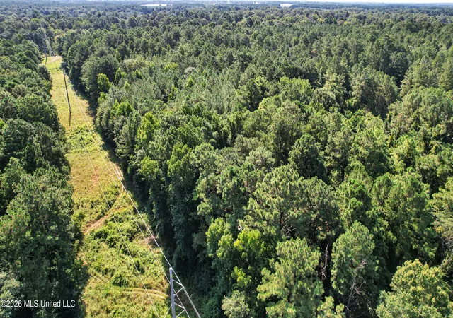 Photo 4 of Land for sale at 2435 Brignall Rd, Brookhaven, MS 39601 | MLS# 4157899 | Listing updated on 2026-08-03