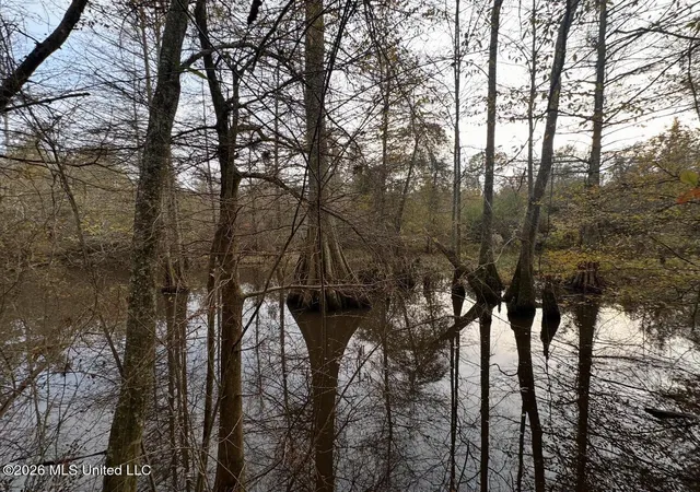 Photo 3 of Sale Pending at 00 Midway Odom Rd, Forest, MS 39074 | MLS# 4157904 | Listing updated on 2026-08-17