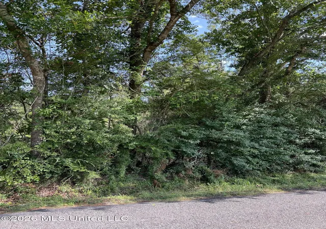 Photo 3 of Land for sale at Mennonite Rd, Gulfport, MS 39503 | MLS# 4157930 | Listing updated on 2026-08-03