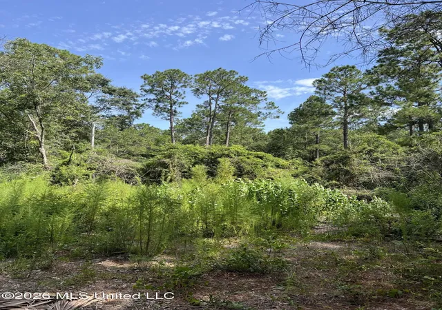 Photo 3 of Land for sale at Mennonite Rd, Gulfport, MS 39503 | MLS# 4157930 | Listing updated on 2026-08-03