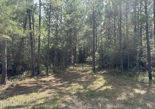 1st image of 259 Forest Lake Rd, Beaumont, MS 39423 | MLS# 4157943