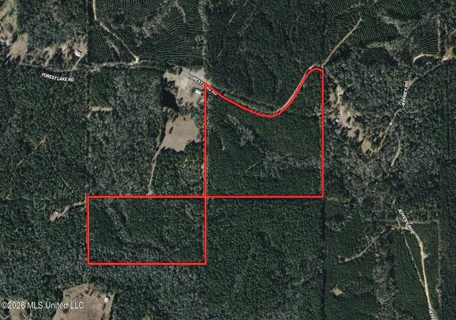 2nd image of 259 Forest Lake Rd, Beaumont, MS 39423 | MLS# 4157943