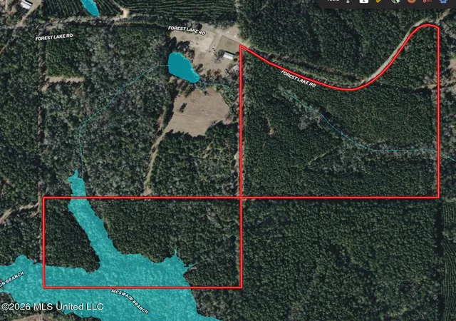 4th image of 259 Forest Lake Rd, Beaumont, MS 39423 | MLS# 4157943