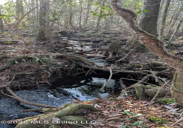 4th image of 286 Matthew Johnson Rd, Wiggins, MS 39577 | MLS# 4157989