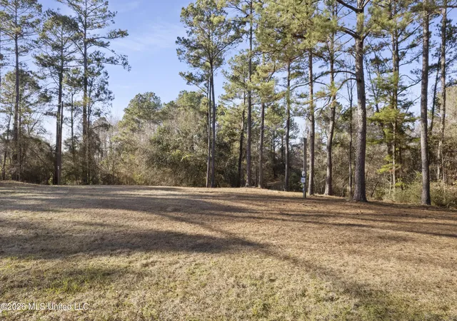 Photo 1 of Land for sale at 144 Corinth Rd, Petal, MS 39465 | MLS# 4157969 | Listing updated on 2026-10-13