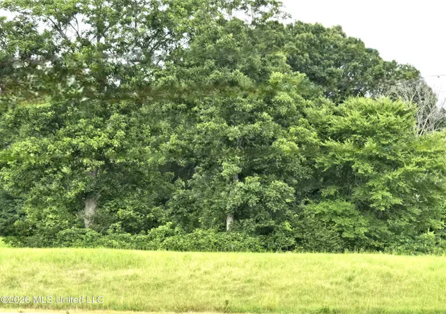 Land for sale at 1 Gravel Springs Rd, Senatobia, MS 38668 | MLS# 4158673