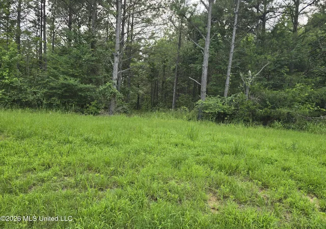 Photo 2 of Land for sale at 1 Gravel Springs Rd, Senatobia, MS 38668 | MLS# 4158673 | Listing updated on 2026-08-10