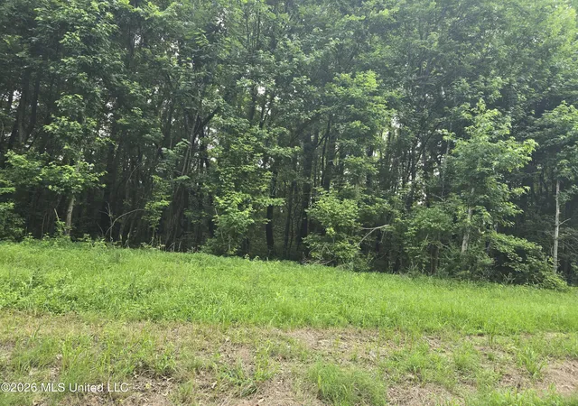Photo 3 of Land for sale at 1 Gravel Springs Rd, Senatobia, MS 38668 | MLS# 4158673 | Listing updated on 2026-08-10