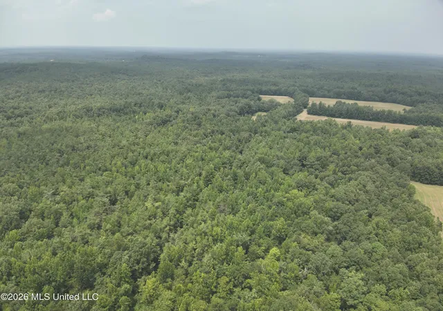 Photo 3 of Land for sale at T K Ln, Pontotoc, MS 38863 | MLS# 4157975 | Listing updated on 2026-08-03